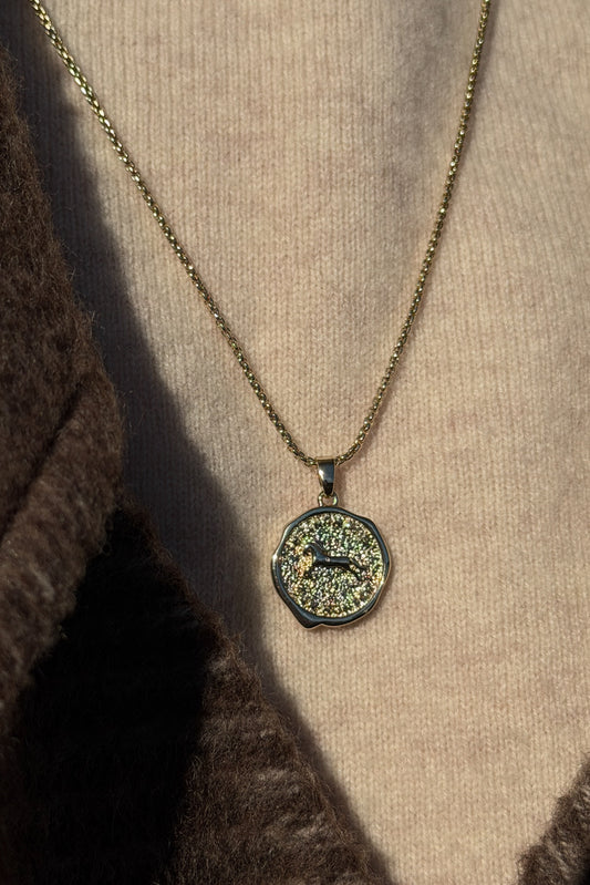 Horse Medallion Necklace