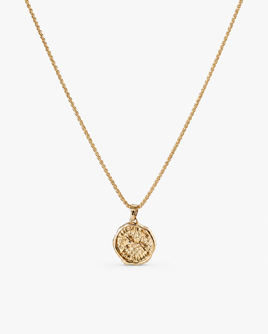 Horse Medallion Necklace